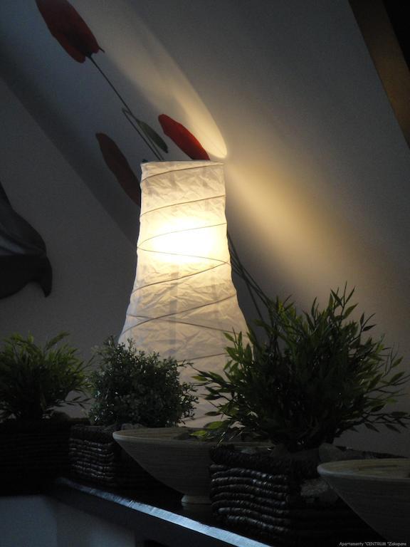 Apartamenty Centrum Ζακοπάνε Εξωτερικό φωτογραφία
